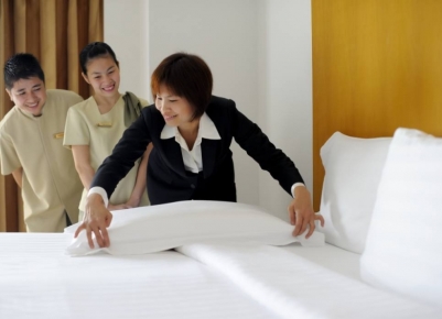 ICSE & CBSE (Class X)